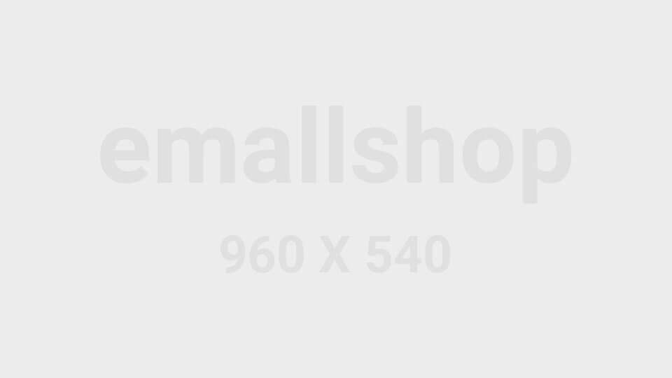 Duis autem vel eum iriure dolor